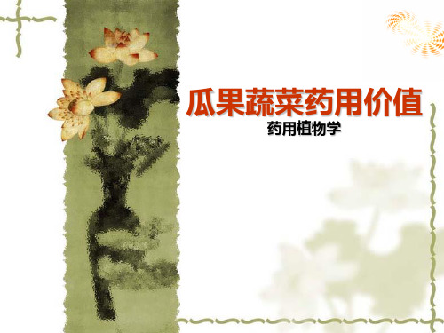 药用植物学ppt