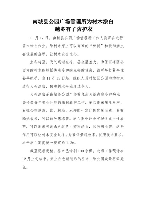 公园所为树木涂白