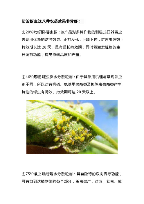 防治蚜虫这八种农药效果非常好