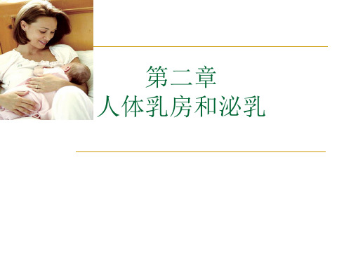  乳房基本知识