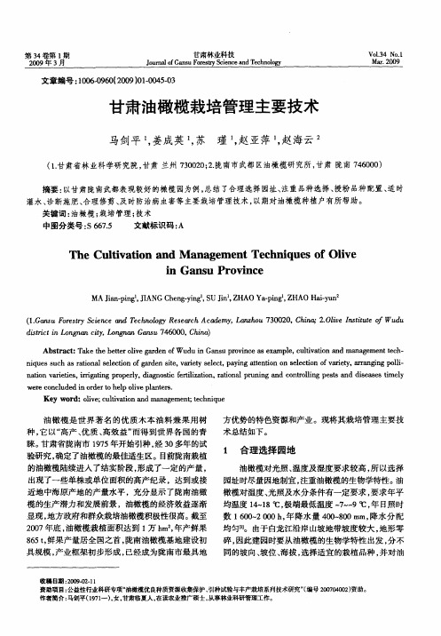 甘肃油橄榄栽培管理主要技术