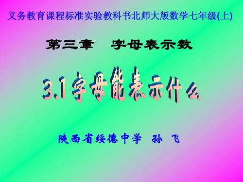 字母能表示什么(北师大版 含动画演示)