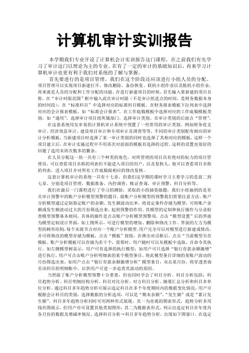 计算机审计实训报告