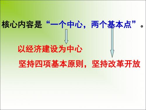 补充：一个中心,两个基本点