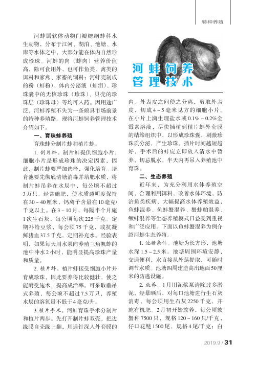 河蚌饲养管理技术