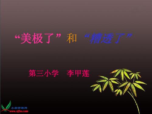 10课“美极了”与“糟透了” 3gdkj课件