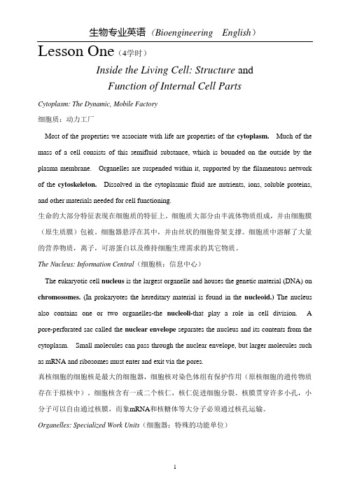 生物专业英语中英文对照(Bioengineering  English)