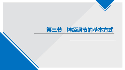 人教版七年级生物下册第六单元第三节《神经调节的基本方式》PPT课件