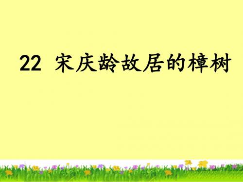 苏教版小学语文四年级下册第22课《宋庆龄故居的樟树》课件