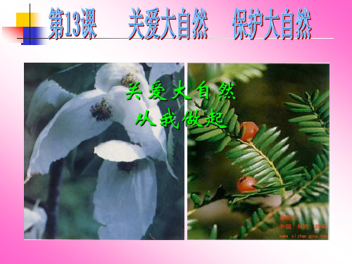 关爱大自然 保护大自然