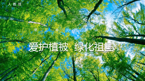 人教版生物七年级上册3.6爱护植被,绿化祖国课件