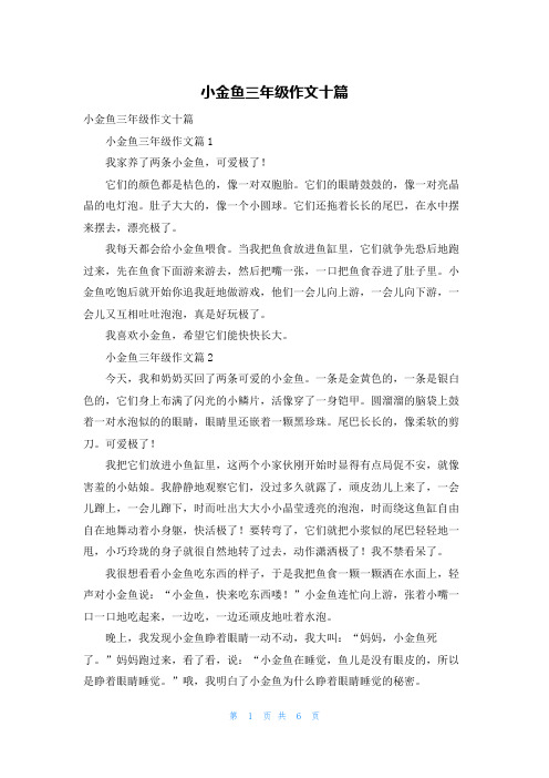 小金鱼三年级作文十篇