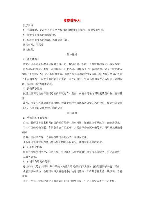 一年级品德与生活上册 奇妙的冬天教案2 北师大版
