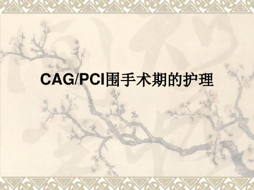 PCI围手术期的护理