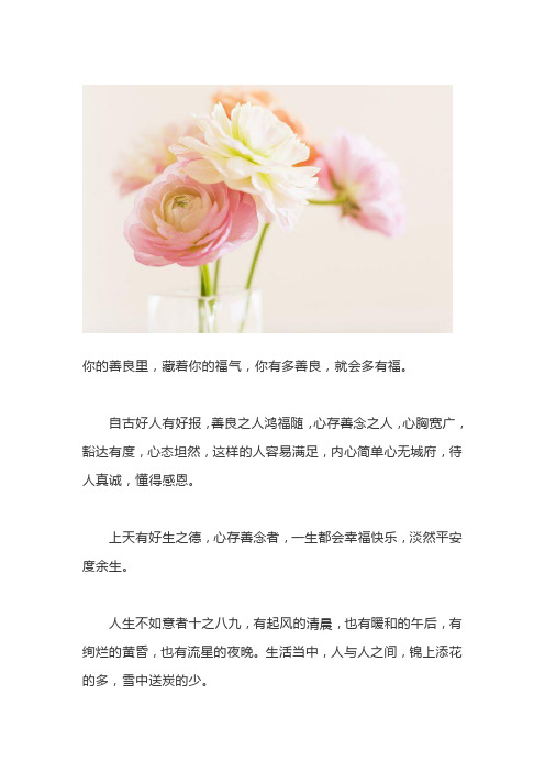 你的善良里,藏着你的福气(深度好文)