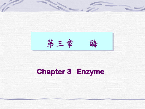 03_Enzymes