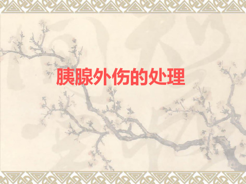 胰腺的处理