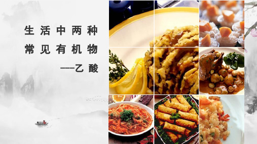 人教版高中化学必修2《生活中常见的有机物-乙酸》教学课件