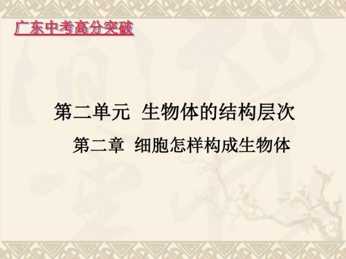 生物体的结构层次