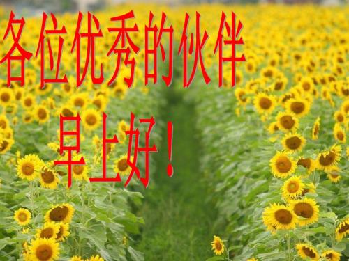 人保早会.ppt