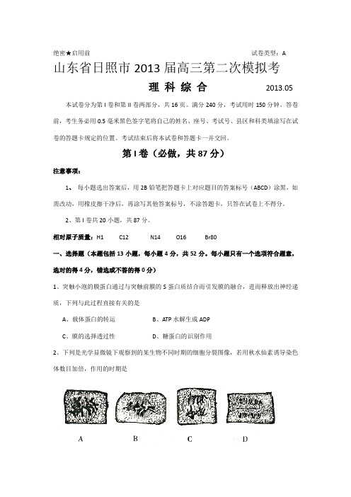 山东省日照市2013届高三第二次模拟考 理综生物 Word版含答案