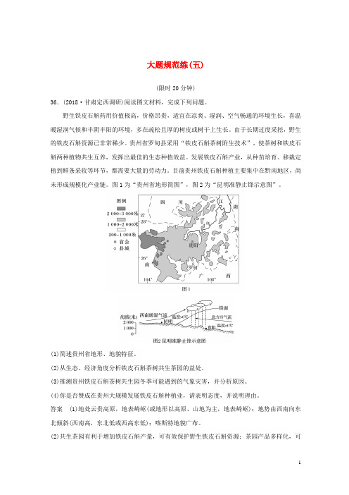 【复习必备】(全国通用版)2020高考地理总复习 精准提分练：大题规范练(五)