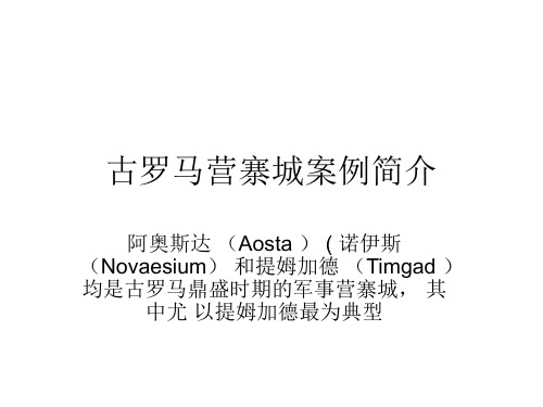古罗马营寨城案例简介