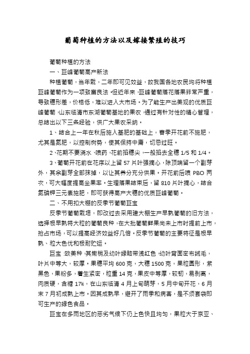 葡萄种植的方法以及嫁接繁殖的技巧