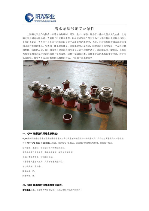 潜水泵型号定义及条件