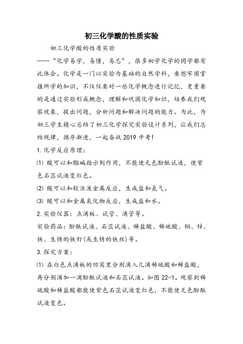 初三化学酸的性质实验