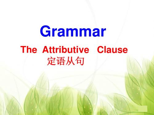 定语从句Attributive clause(★★精全★★)