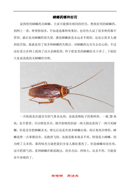 蟑螂药哪种好用 灭蟑螂药膏哪个牌子安全