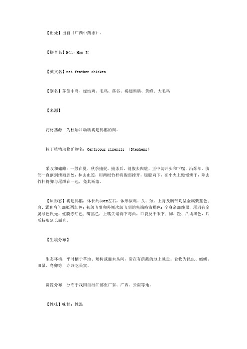 红毛鸡