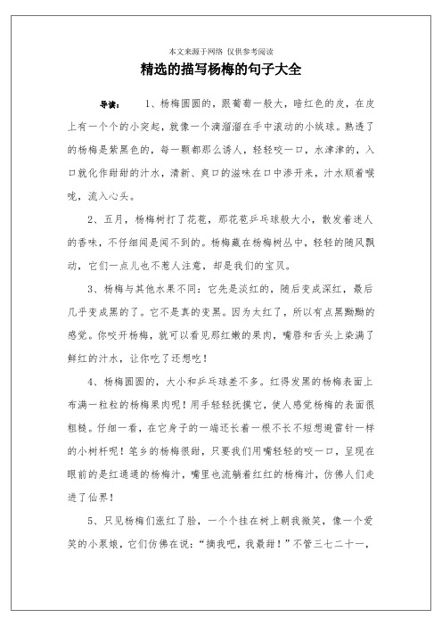 精选的描写杨梅的句子大全