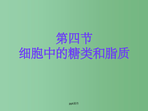 高中生物 第四节 糖类和脂质 新人教版