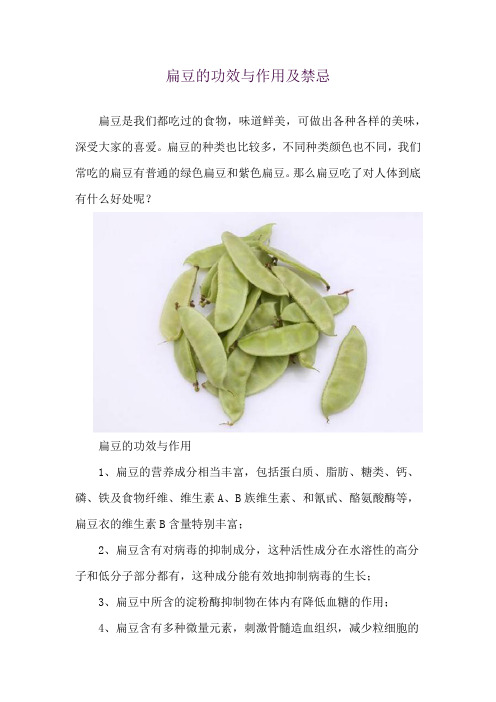 扁豆的功效与作用及禁忌