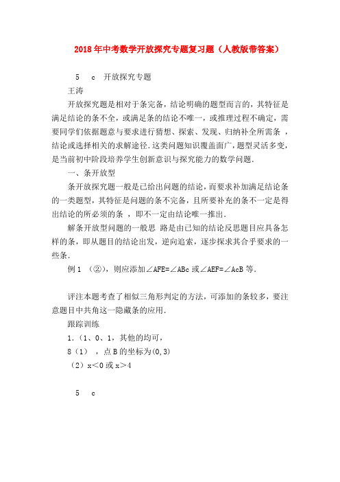 【初三政治试题精选】2018年中考数学开放探究专题复习题(人教版带答案)
