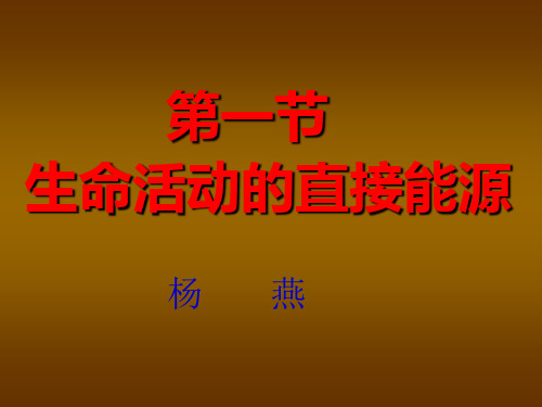 生命活动的直接能源