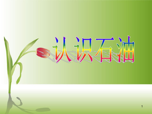 小学石油科普知识-认识石油PPT课件