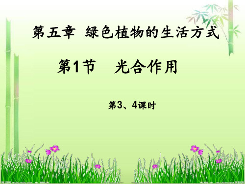 第5章第一节光合作用-第3和4课时PPT课件