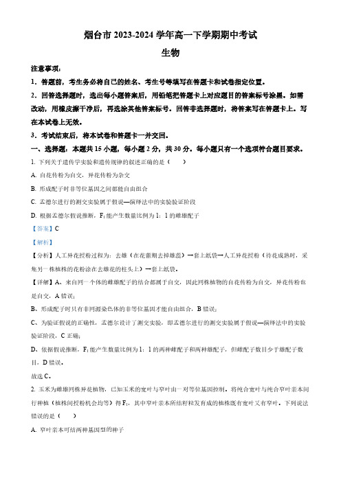 山东省烟台市2023-2024学年高一下学期期中生物试题(解析版)