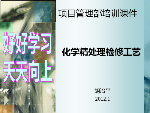 化学精处理检修