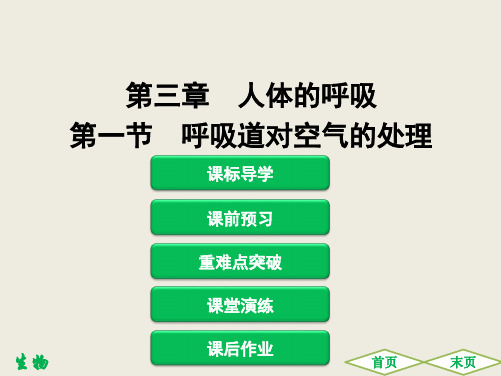 2020春人教版初中生物七年级下册同步讲练：第一节 呼吸道对空气的处理