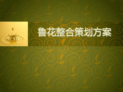 鲁花整合策划方案