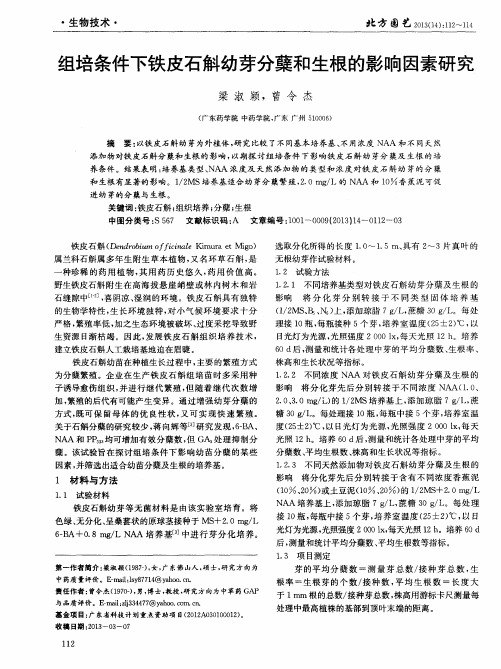 组培条件下铁皮石斛幼芽分蘖和生根的影响因素研究