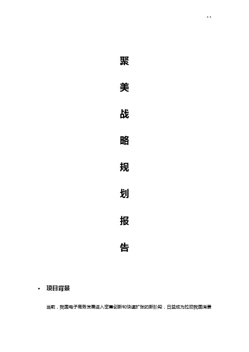 聚美战略规划报告