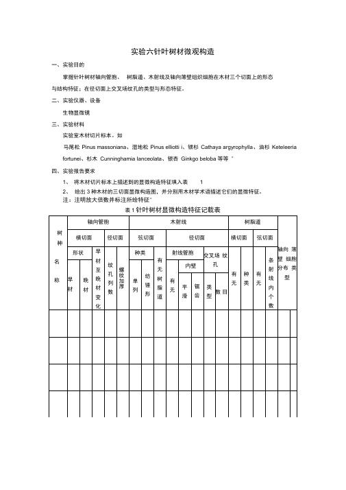 实验六针叶树材微观构造