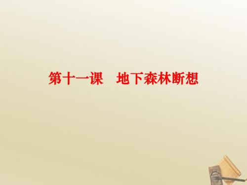 11.《地下森林断想》   课件