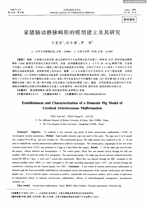 家猪脑动静脉畸形的模型建立及其研究