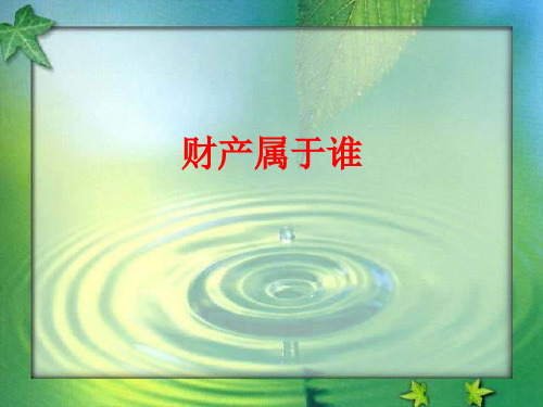 财产属于谁PPT课件